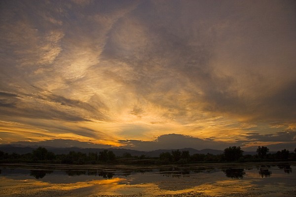 August Dreams of August Clouds