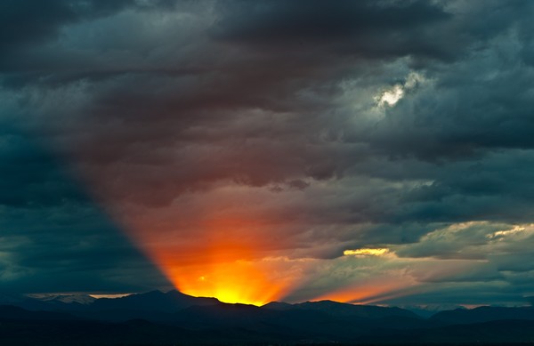 I Saw The Light