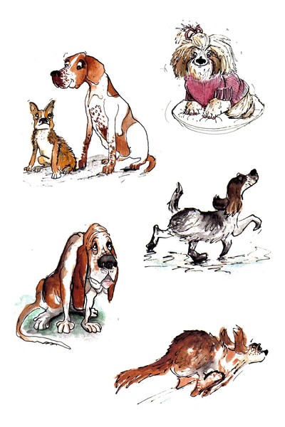 Dogs