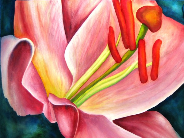 Pink Lilly
