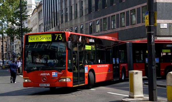 Bendy Bus