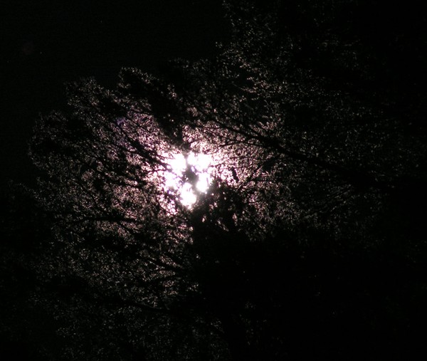 Moon Shadows in Red River