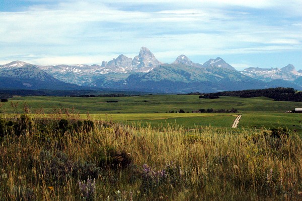 Tetons