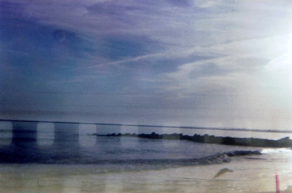 The Beach .. The Seagull .. & My Toy Camera