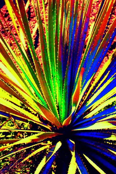 slice of color