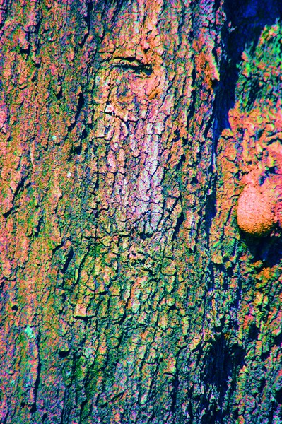 message in bark