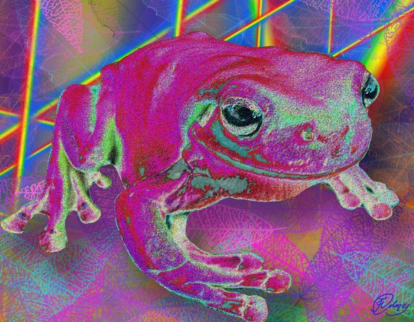techno frog
