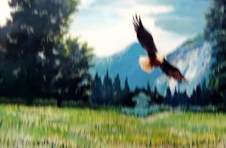 free flight