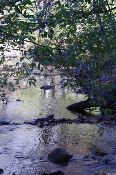 Off the Beaten Path