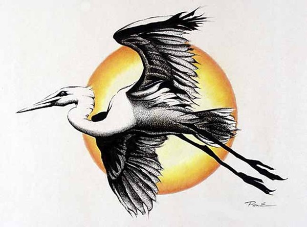 _egret_resized