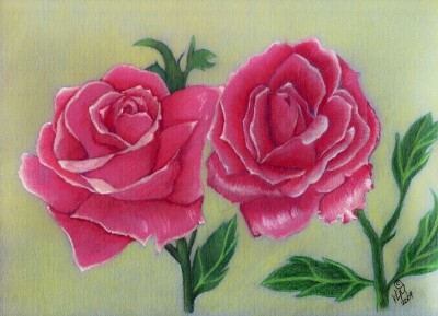 The Roses