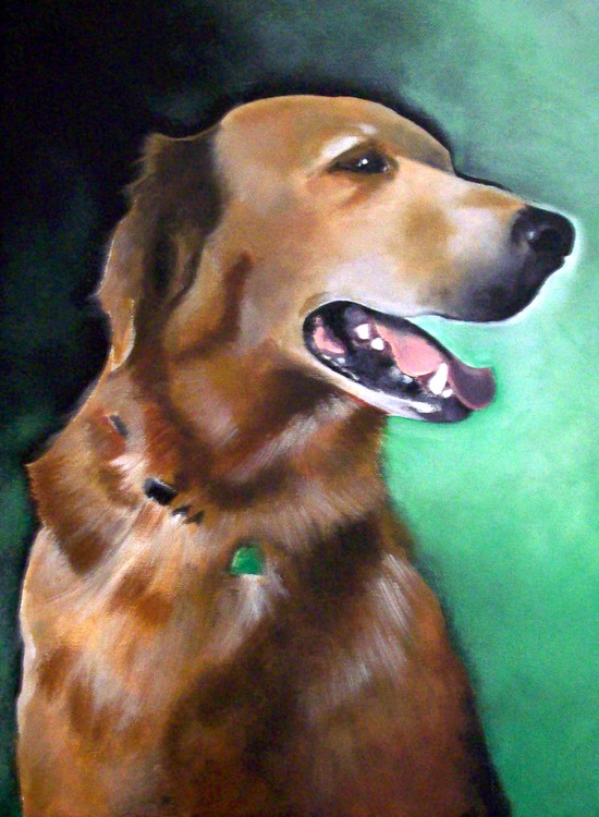 Golden Retriever