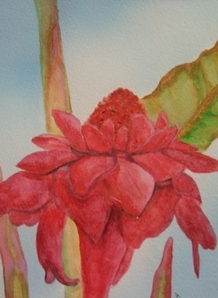 Red Ginger