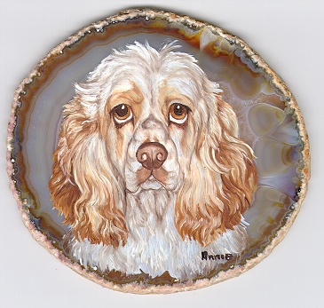 Cocker Spaniel