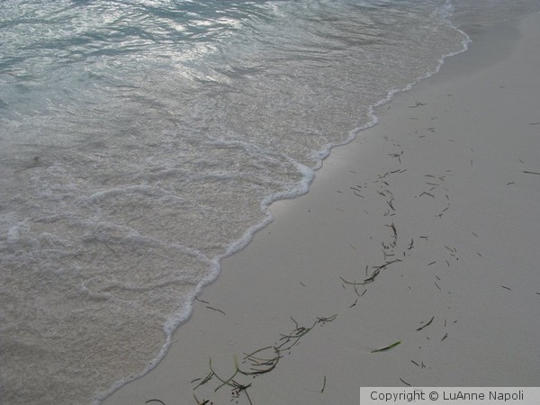 Isla Mujeres Shoreline