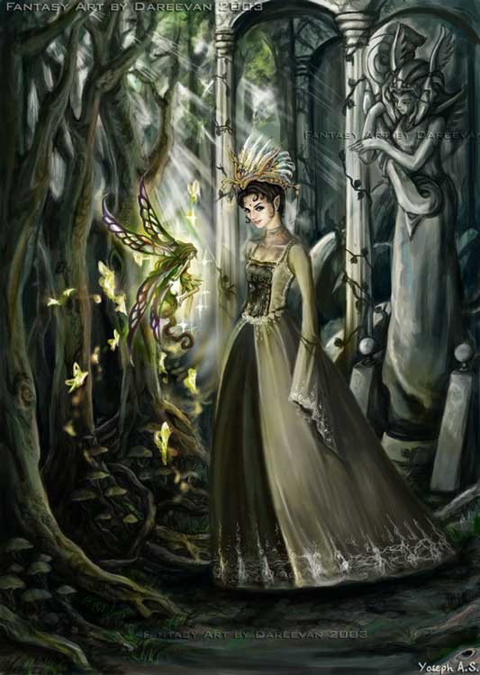 Lost in Fairy Woods
