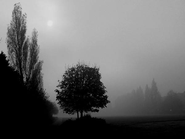 Misty Sunday Morning