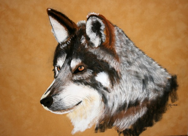 Wolf