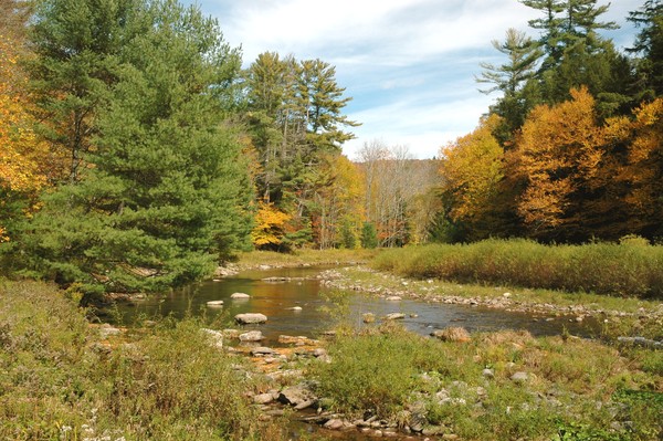  Neversink River West Branch in the Fall
