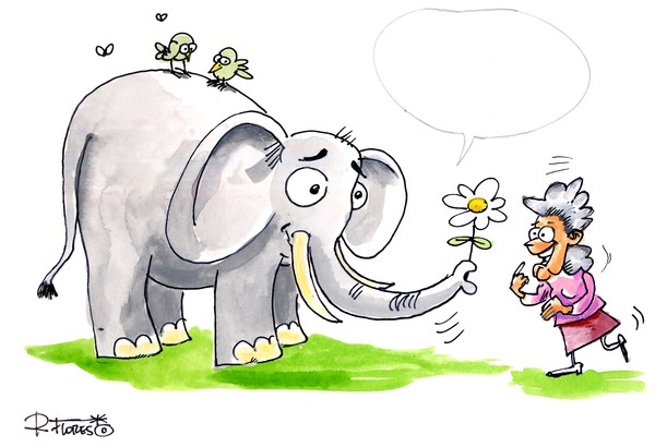 The Romanthic Elephant