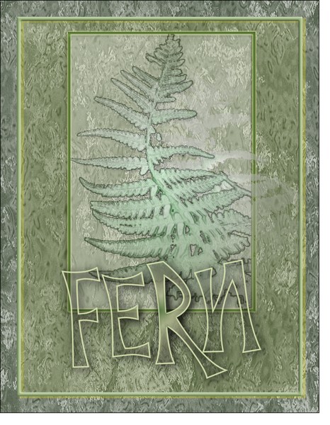 fern