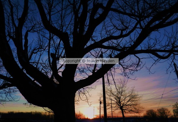 THE DAWN