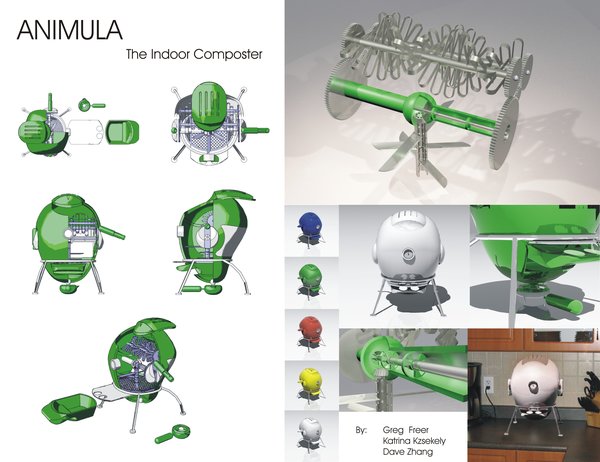 Animula
