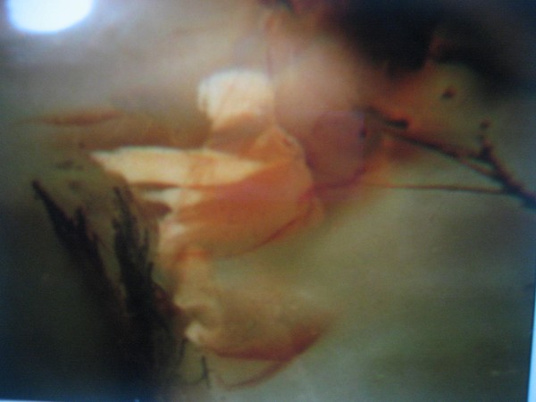The other side