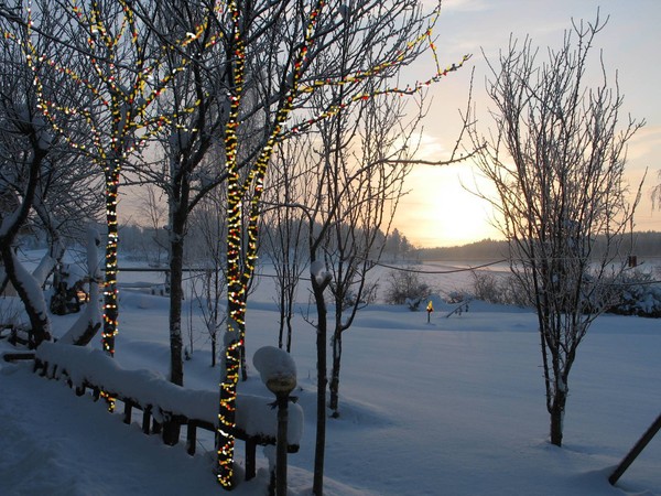 WINTER LIGHTS