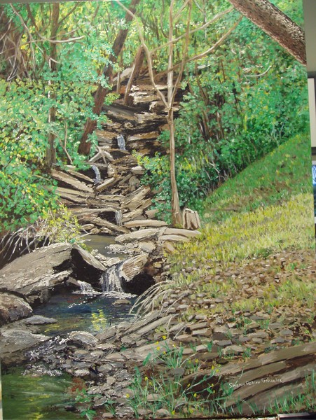 Alma House Creek #2
