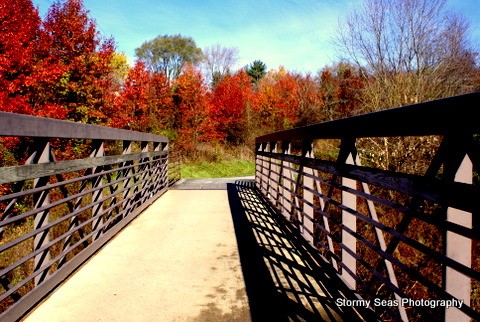 Fall colors 9