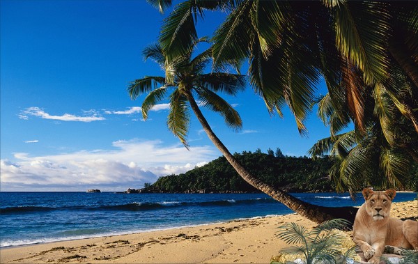 1008A-Tropical Queen