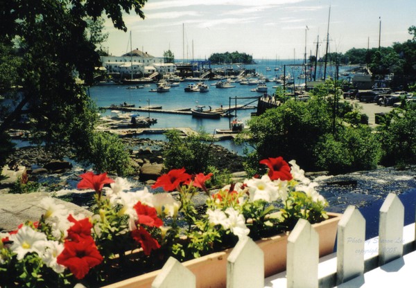 Happy Harbor