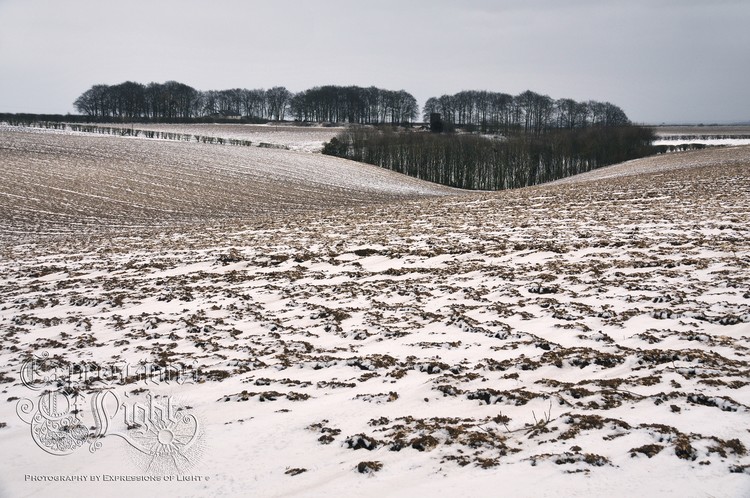 ExpoLight-The-Lincolnshire-Wolds-Winter-18-03-2018-0011 (SP)