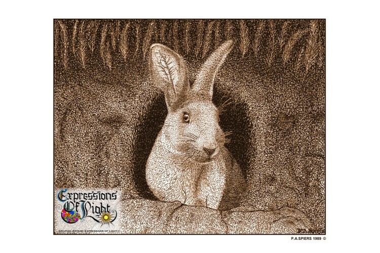 ExpoLight-Graphic-Arts-Rabbit-1989-0001 (Pen-&-Ink-Sepia-SP)