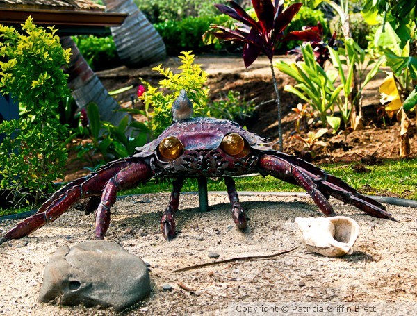Going Piggyback on a Crab