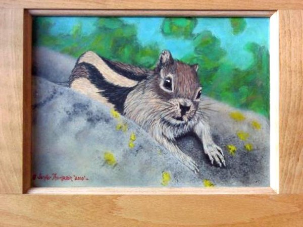Yellowstone Squirrel
