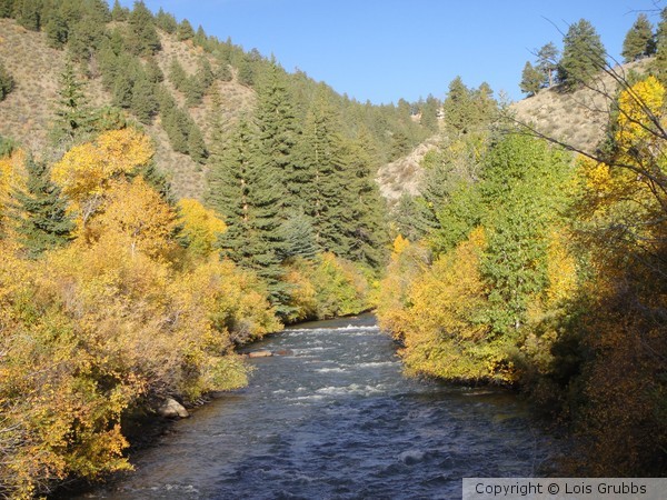 Fall Foilage Sept 2011 My camera 074