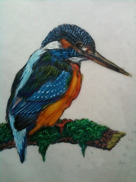 Jewel of the brook