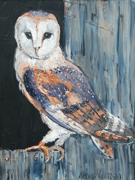 Barn Owl