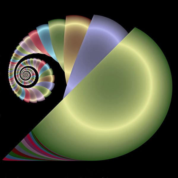 Emerging Radioactive Snail