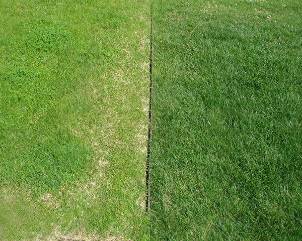 turf_10