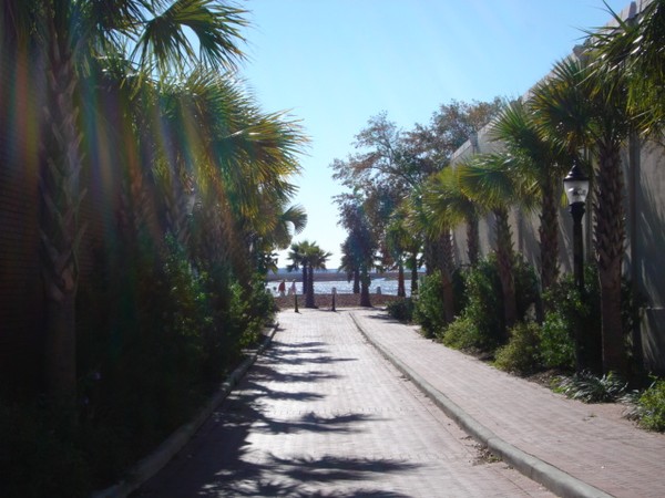 DSC00849