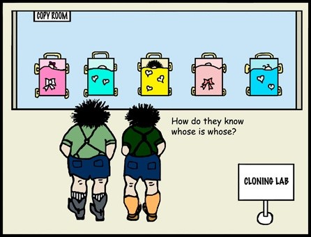 CLONING LAB