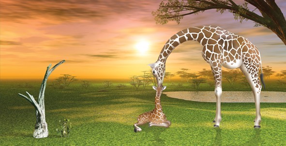 giraffe-kissing the baby