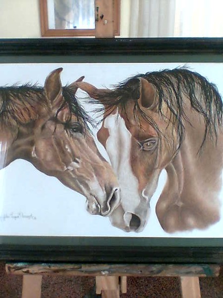 caballo 18