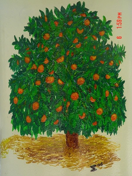 Orange tree on Smudge Pot