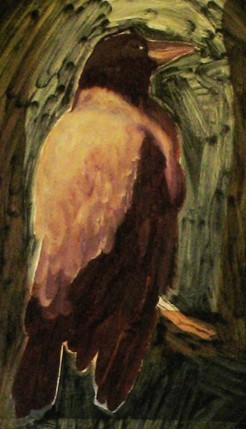 Knowing Raven (close-up)