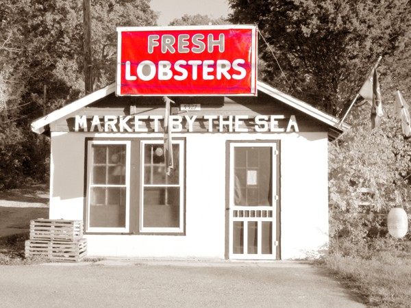 Fresh Lobsta!