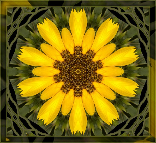 sunflower mandala